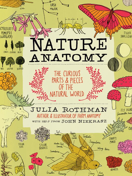 Cover image for Nature Anatomy